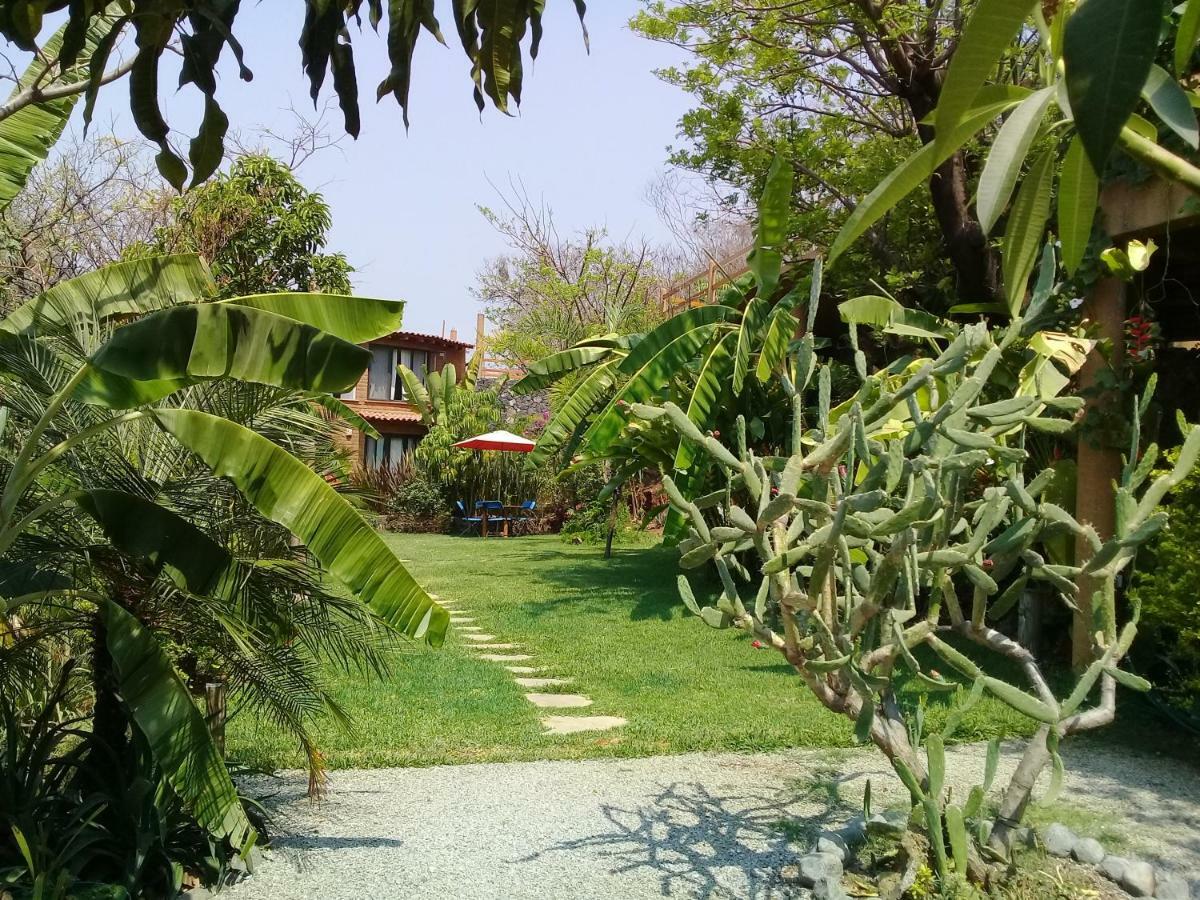 Cabanas El Nido De La Huilota Hotel Tepoztlán Esterno foto